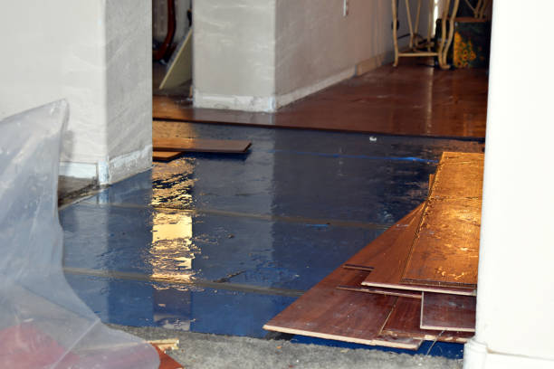 Professional Water Damage Restoration technician working in Pinopolis, SC